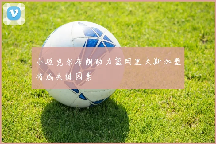 小迈克尔布朗助力篮网里夫斯加盟将成关键因素